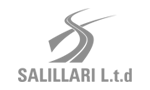 Salillari logo 1